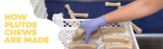 How PLUTOS Chews Are Made: A Madeira Island Cheese Recipe, Processed for Dogs