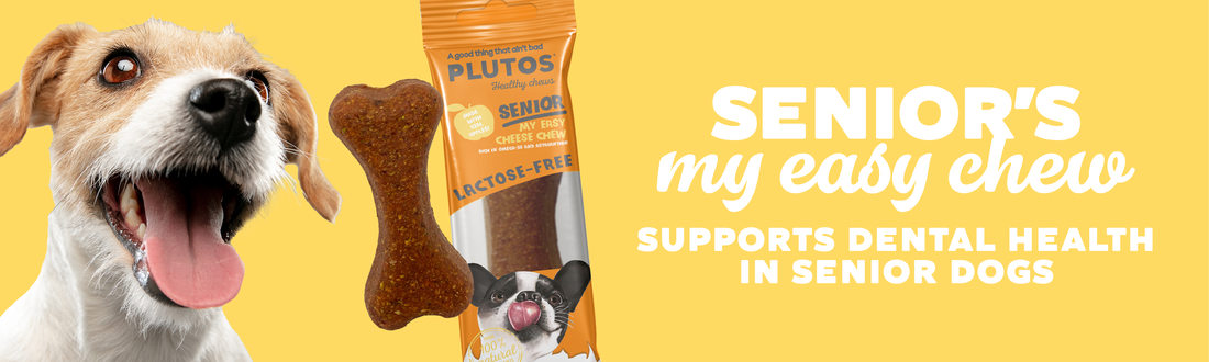 How PLUTOS Senior 'My Easy Chew' Supports Dental Health in Senior Dogs