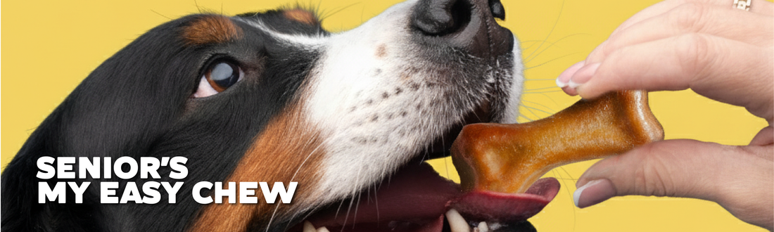The Ultimate Review: PLUTOS Senior 'My Easy Chew' from 5 Units