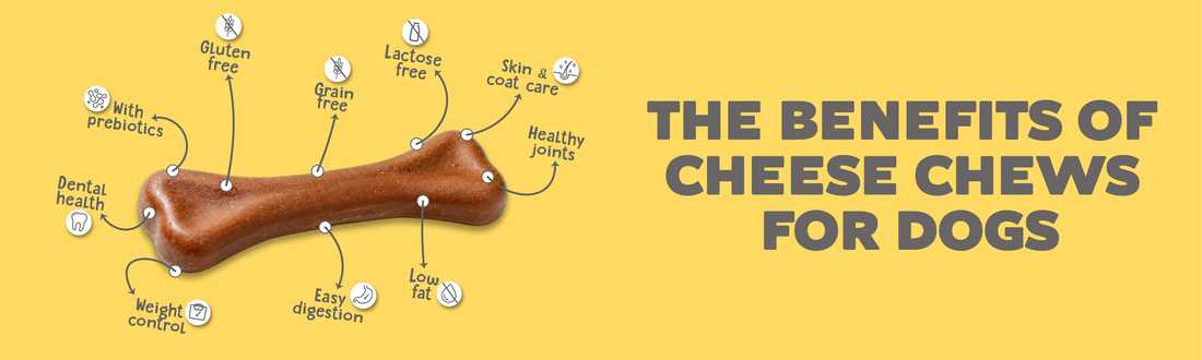 The Benefits of Cheese Chews for Dogs: Tasty, Nutritious, and Fun!
