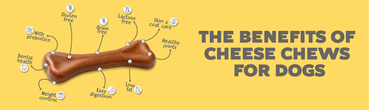 The Benefits of Cheese Chews for Dogs: Tasty, Nutritious, and Fun!