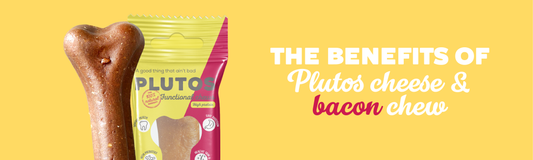 Unveiling the Secrets Behind PLUTOS Cheese & Bacon Chew: How It's Made