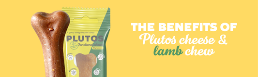 The Ultimate Guide to Choosing PLUTOS Cheese & Lamb Healthy Chew for Your Beloved Pet