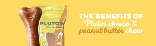 Discover the Benefits of PLUTOS Cheese & Peanut Butter Chew for Your Dog's Health