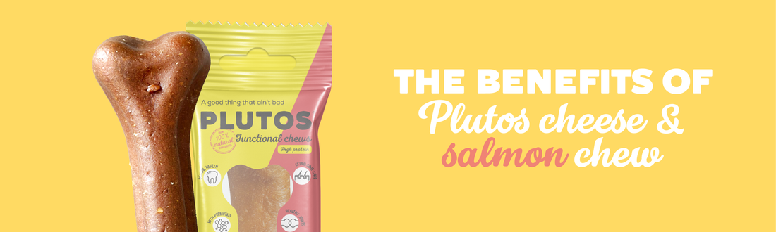 Enhance Your Dog's Well-being with PLUTOS Cheese & Salmon Healthy Chew
