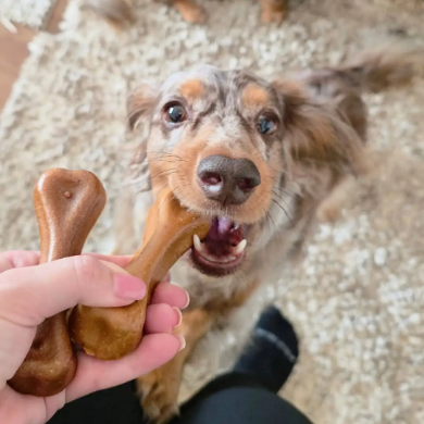 Dog Cheese Chew | Box Small, Medium, Large & Extra Large