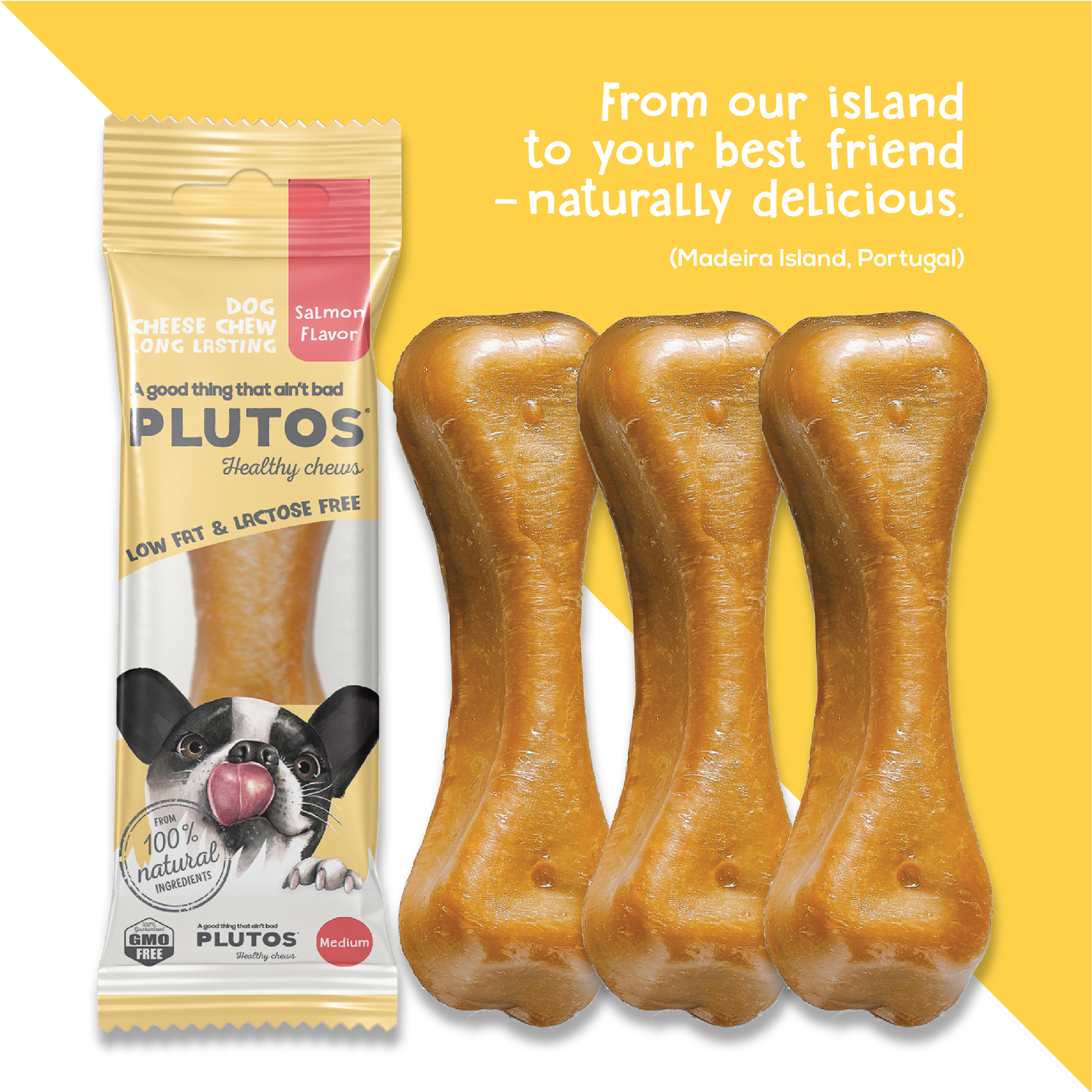 Plutos Cheese & Salmon Chew — back-of-pack showing ingredients and nutrition, functional natural casein dog chew