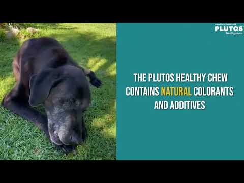 Video preview — Plutos Cheese & Duck functional natural dog chew in use